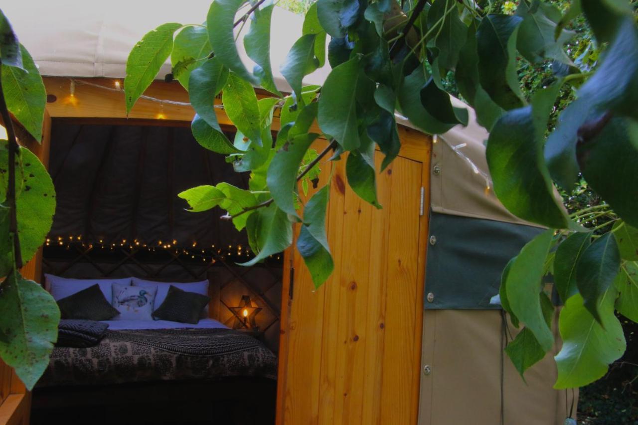 Stamford Meadows Glamping With Private Hot Tubs Hotel Exterior photo