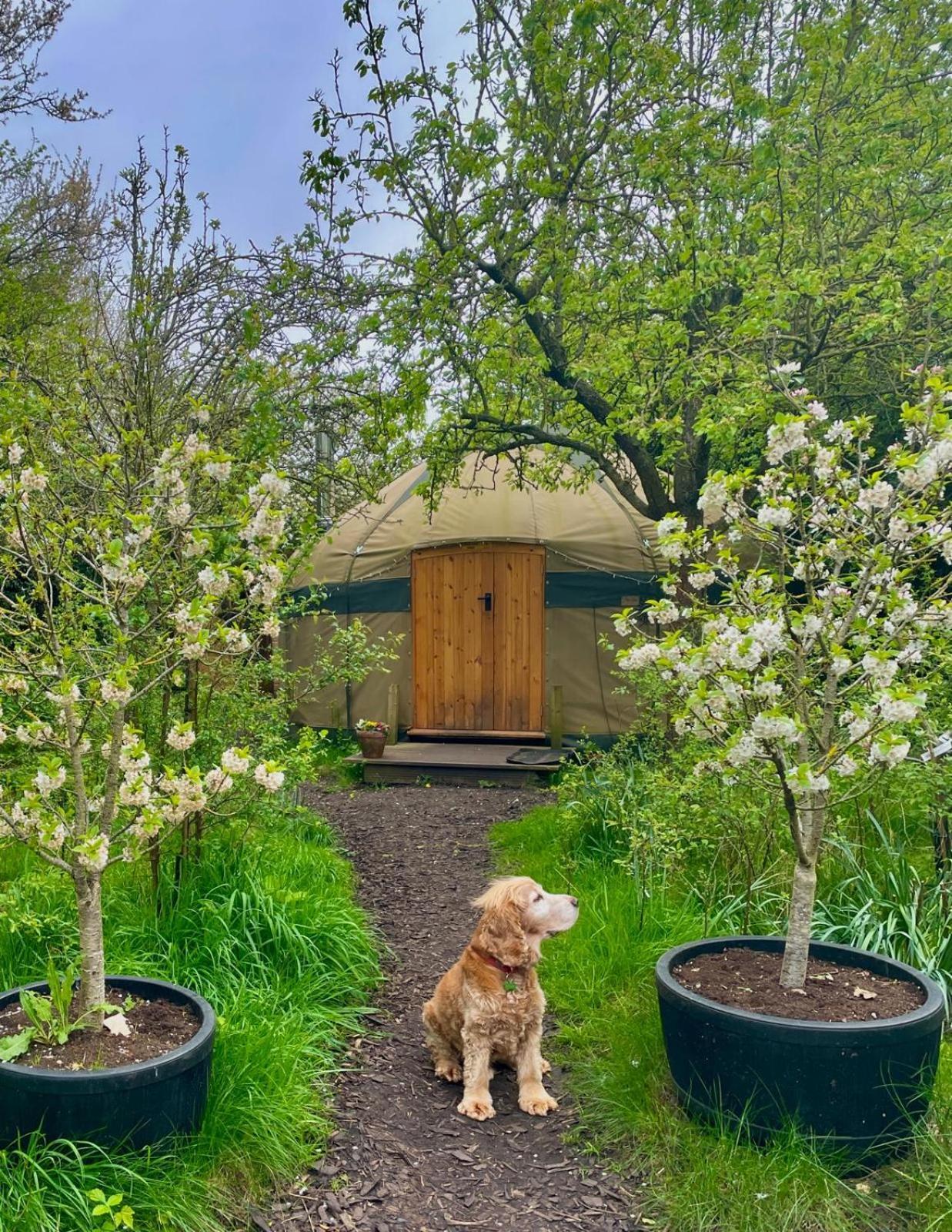 Stamford Meadows Glamping With Private Hot Tubs Hotel Exterior photo